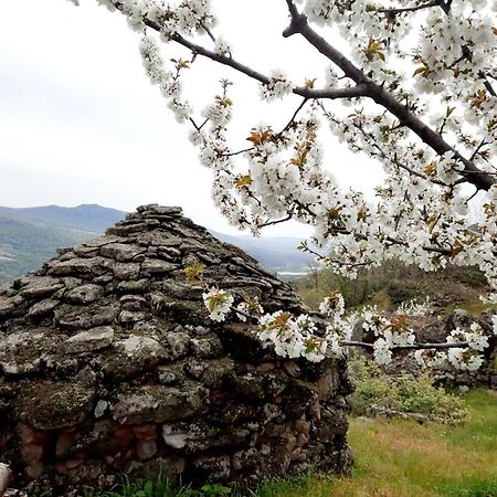 Apartamento Rural Amaluna El Torno  Εξωτερικό φωτογραφία